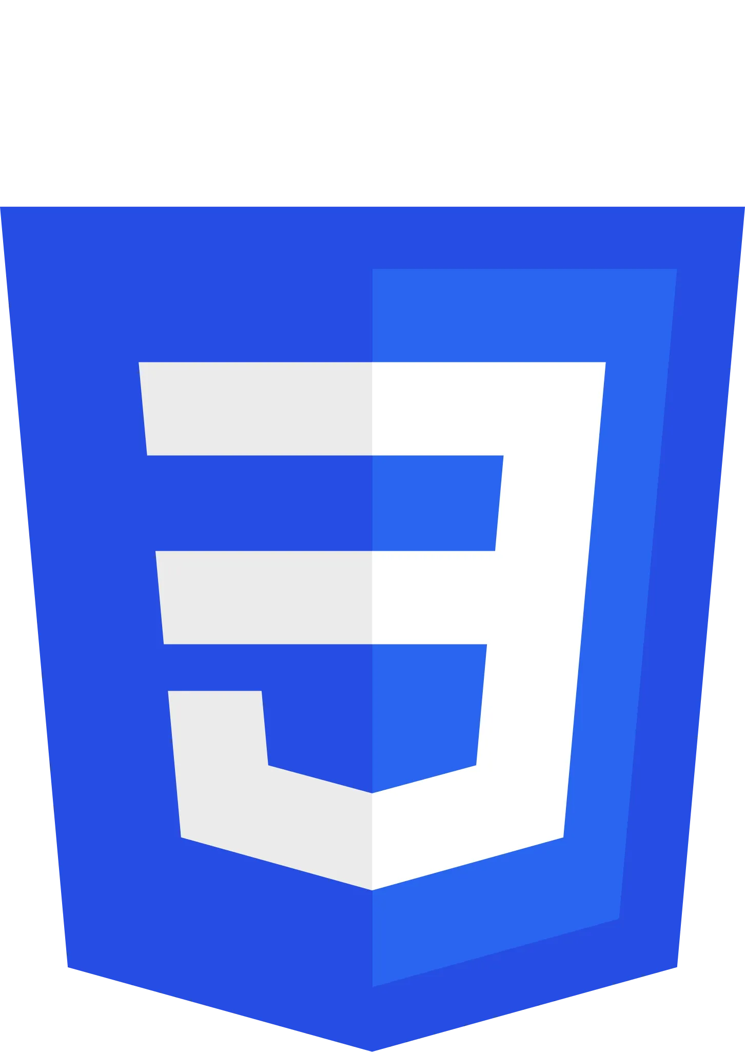 CSS3 logo